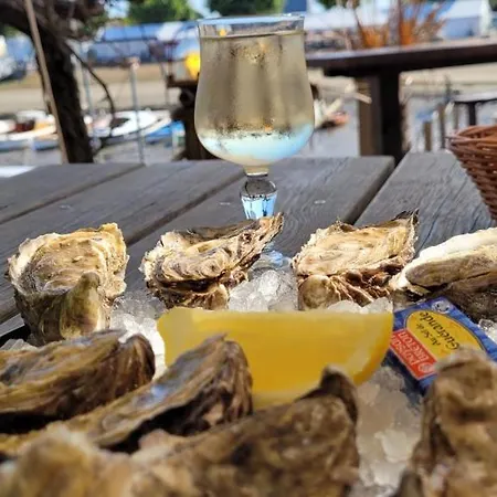 Lejlighed Superbe Arcachon La Teste-de-Buch
